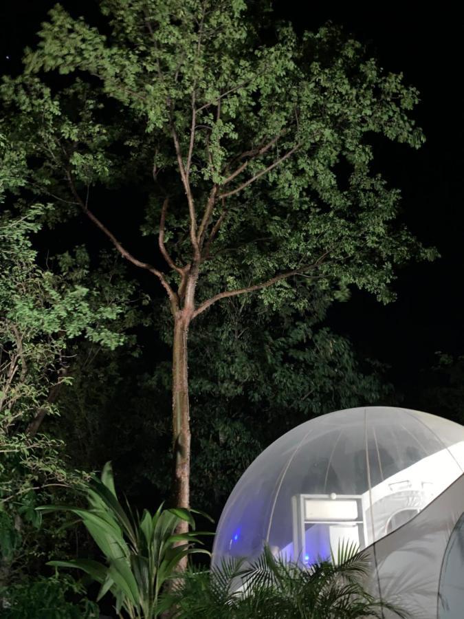Maisons Bulles Deluxe Hotel Bouillante Eksteriør billede